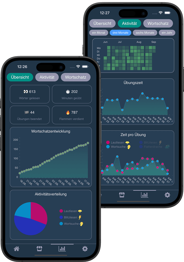Ansicht des Dashboards mit den Statistiken und Erfolgen